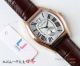 Swiss Grade Cartier Tortue de Watch Replica Silver Roman Dial (3)_th.jpg